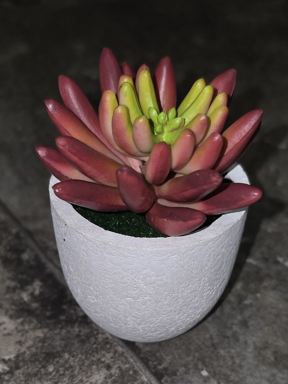 Artificial Succulent Plant in Gray Pot - Red & Green Home Accent BNIB